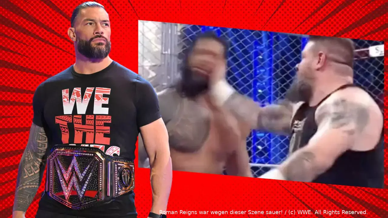 wwe roman punch series