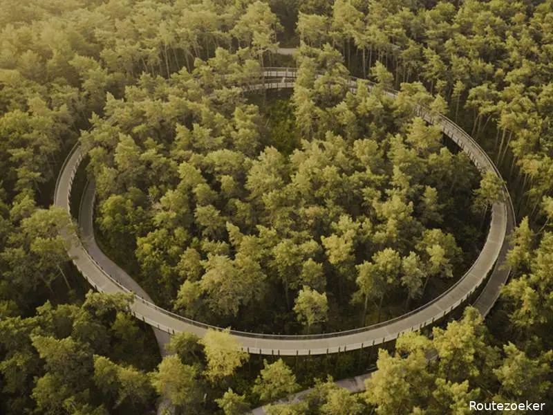 fietsen door de bomen