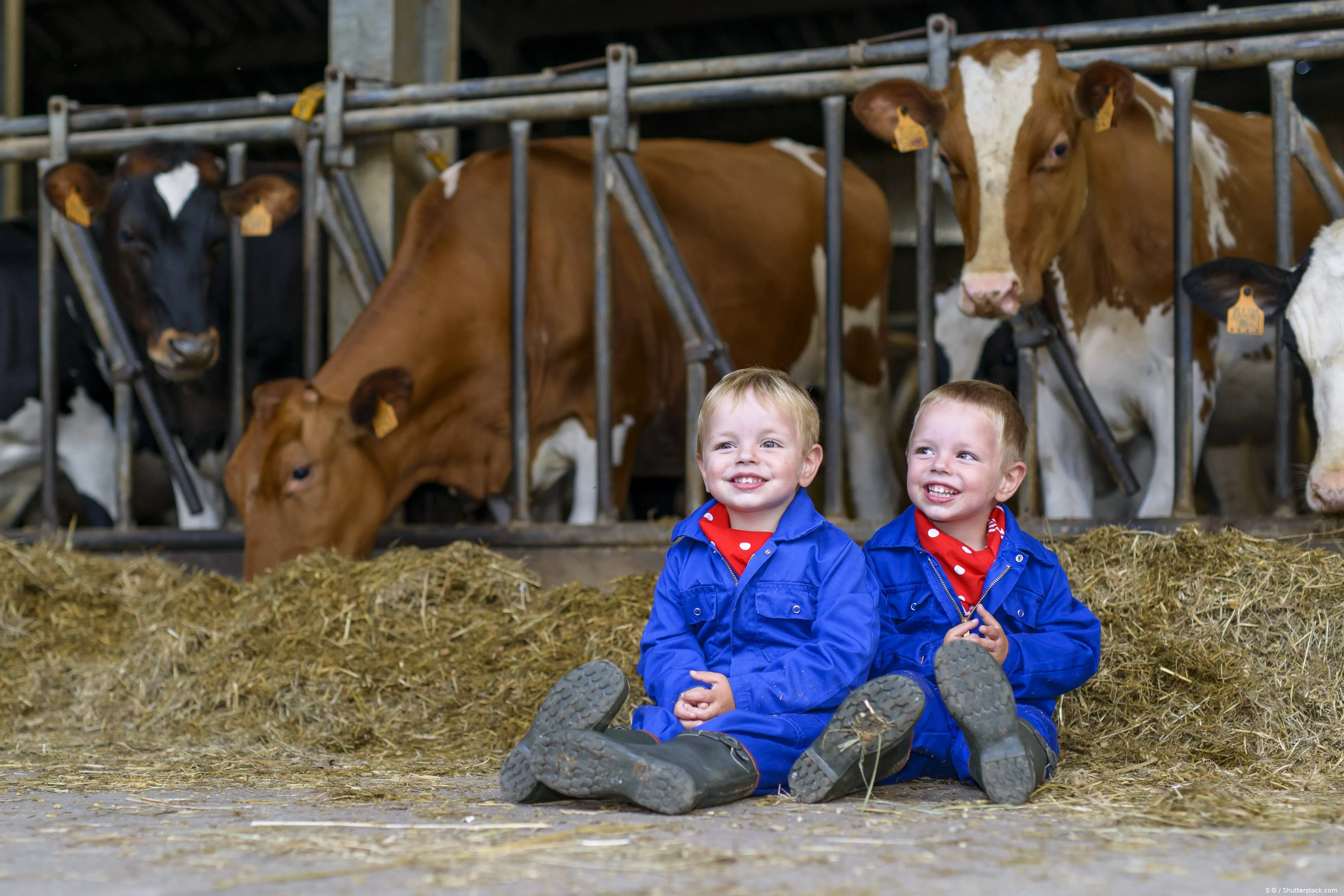 shutterstock_265399739