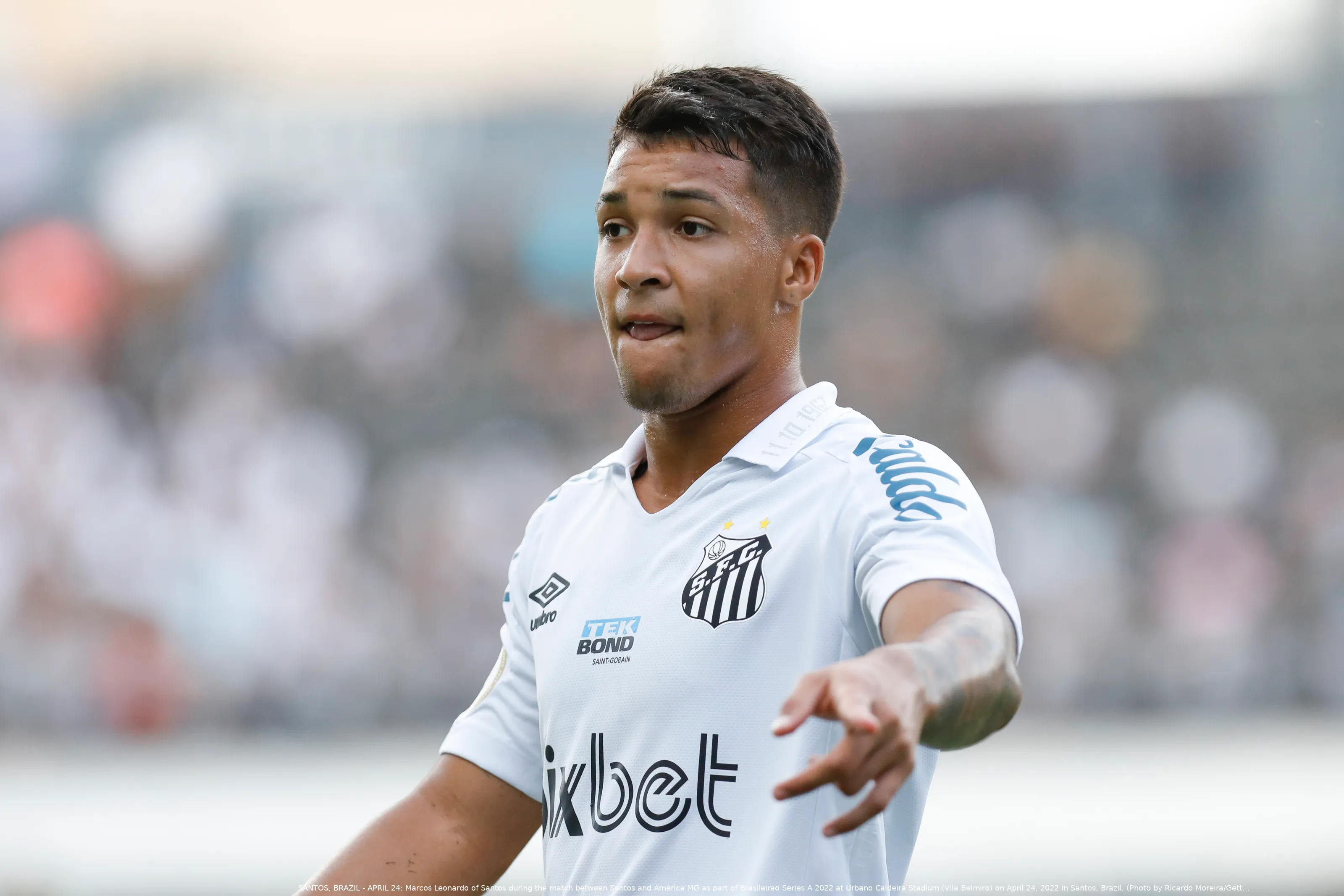 marcos leonardo
