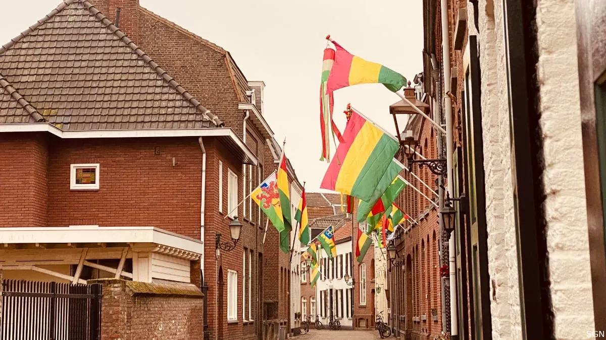 carnavalsvlaggen in begijnenhofstrt sittard