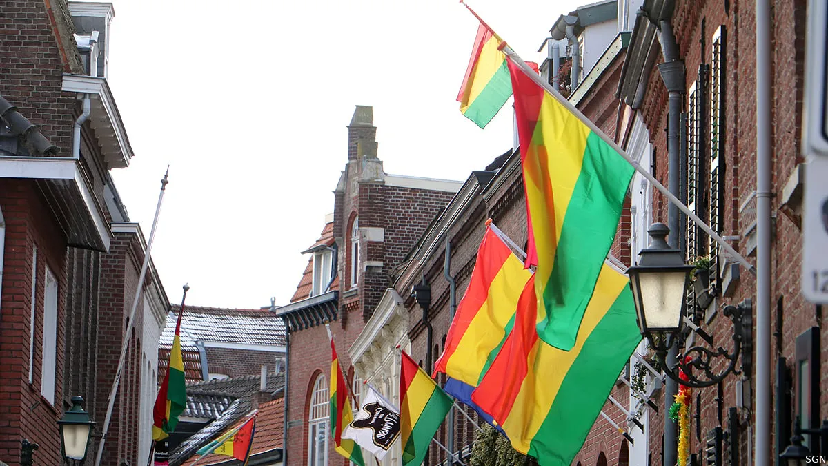 carnavalsvlaggen in de begijnenhofstraat