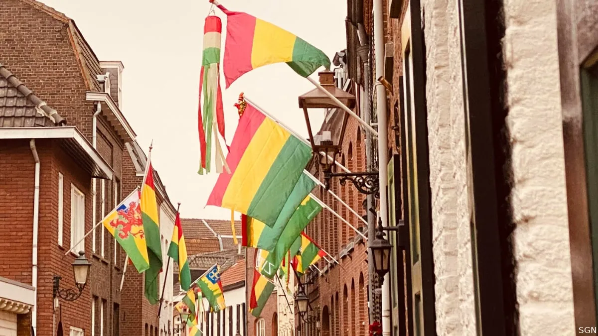 carnavalsvlaggen in de begijnenhofstraat in sittard