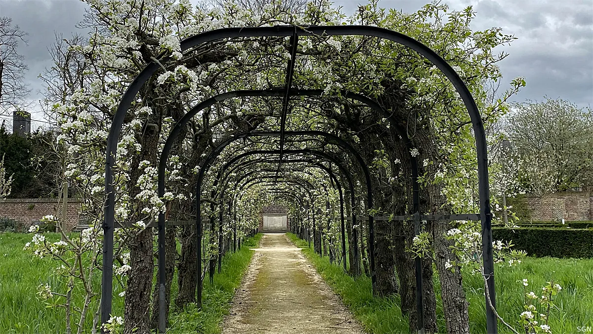 perenlaantje naar joodse gedenksteen