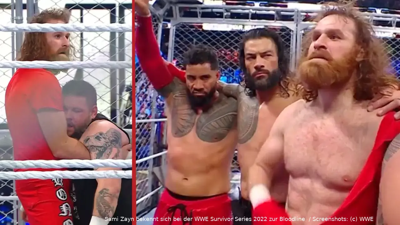 wwe survivorseries 2022 bloodline