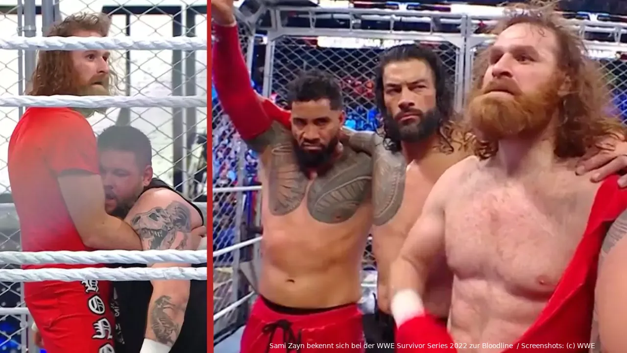 wwe survivorseries 2022 bloodline