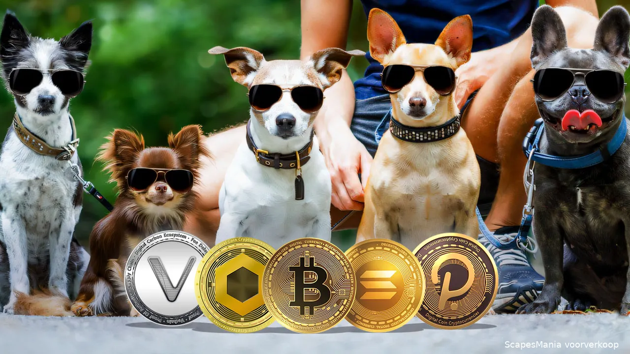 1280x720px discover 13