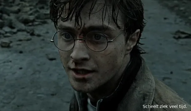 harrypottereighty