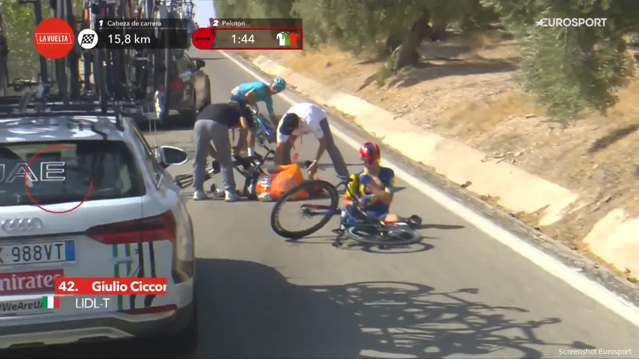 Ciccone crashed in the Vuelta, hit by a deer...