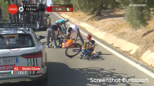 Ciccone crashed in the Vuelta, hit by a deer...