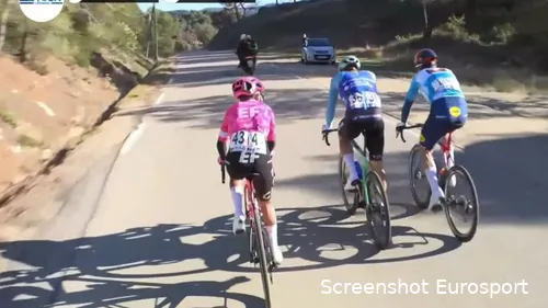 cepeda de pestel pedersen