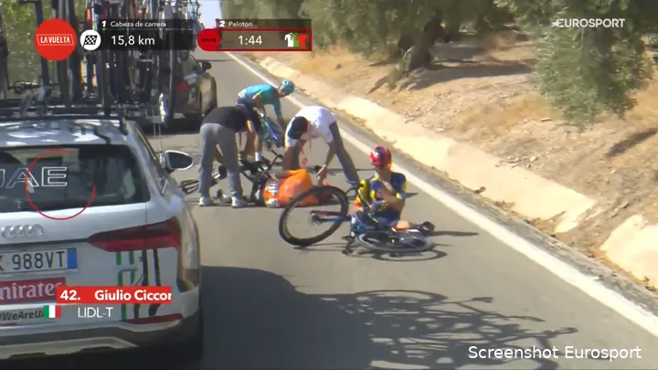 Ciccone crashed in the Vuelta, hit by a deer...
