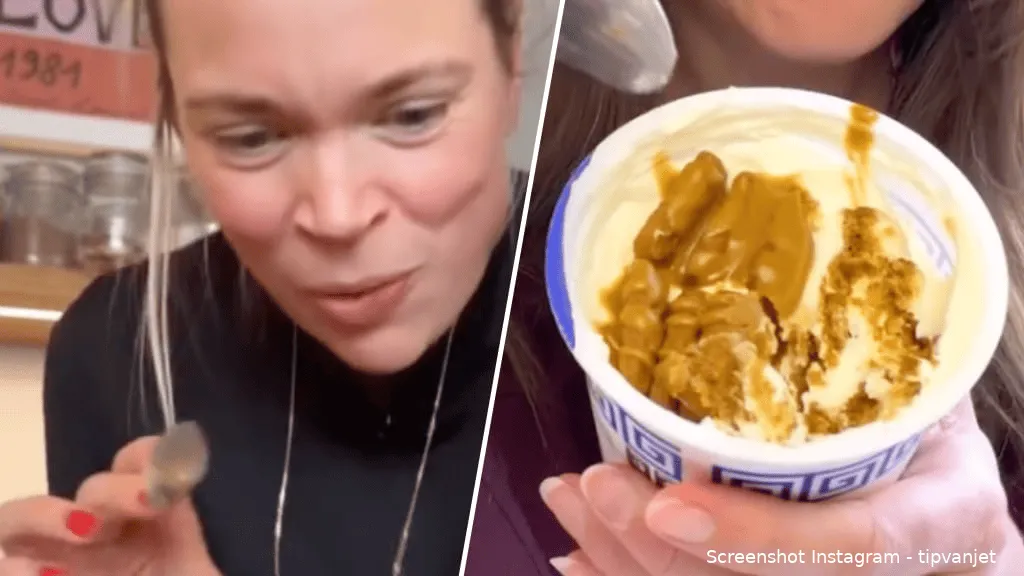 Japanse20cheesecake20viral