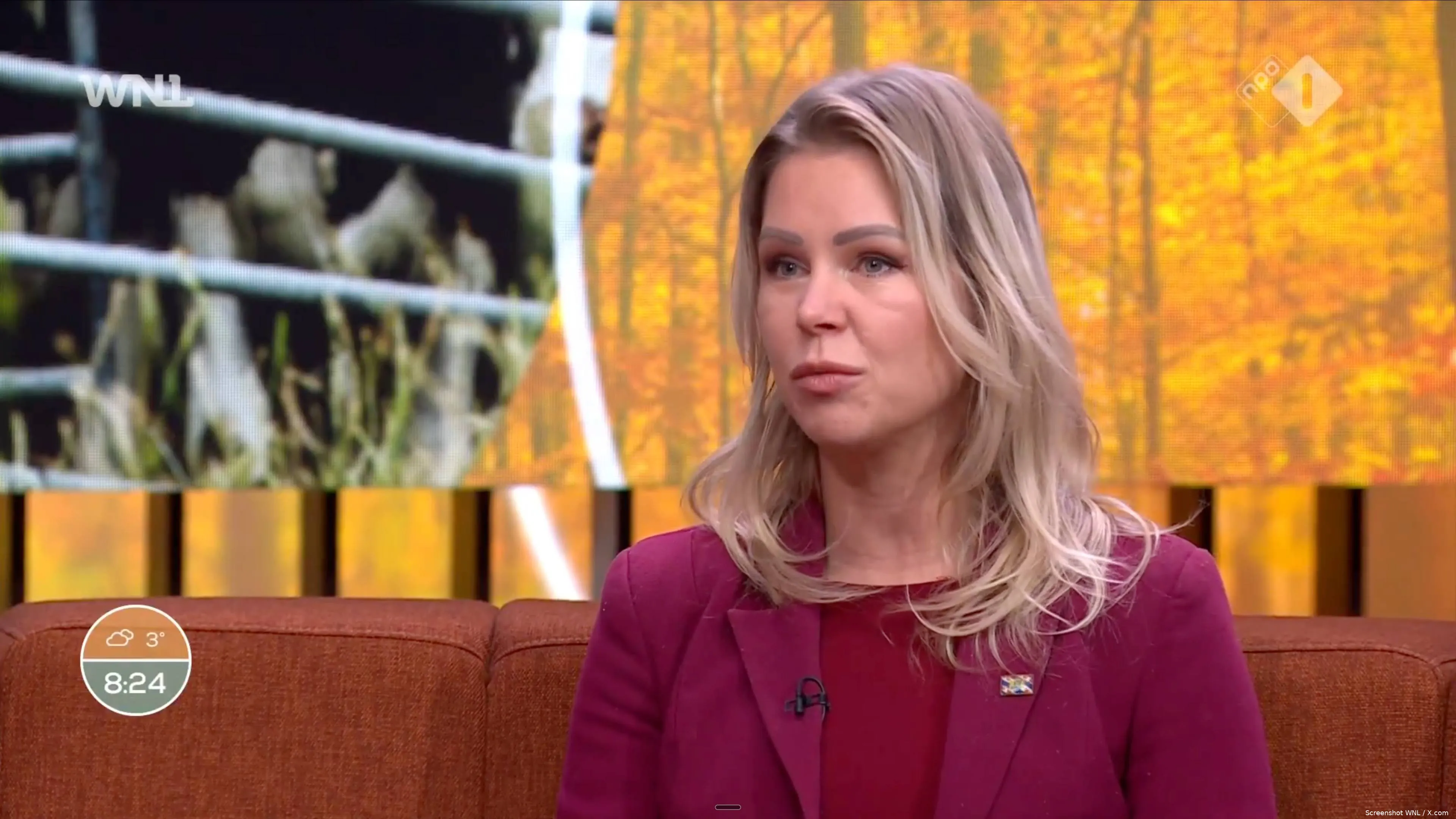 Screenshot 2025-11-26 at 11.16.59