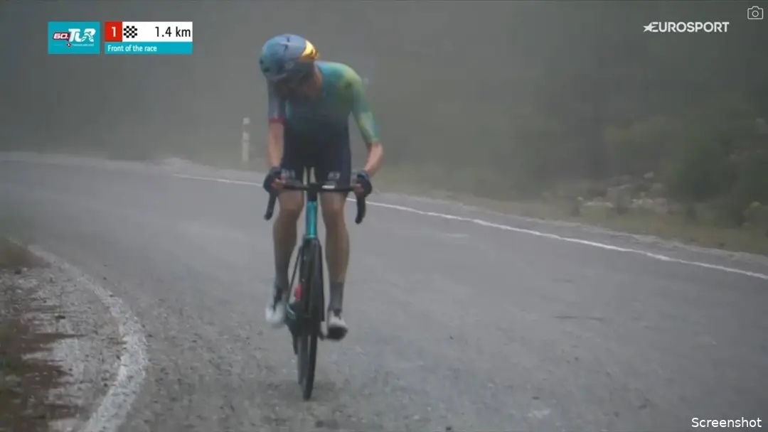 poels