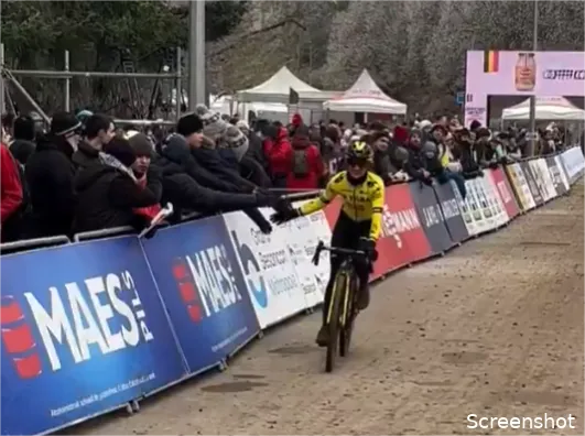 marianne vos