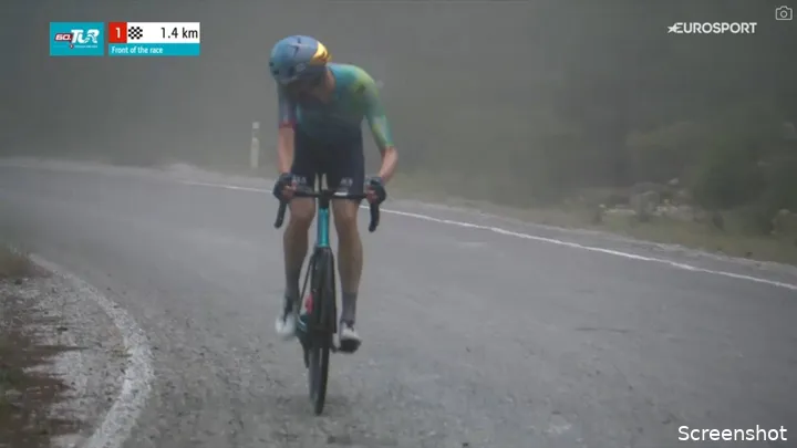 poels