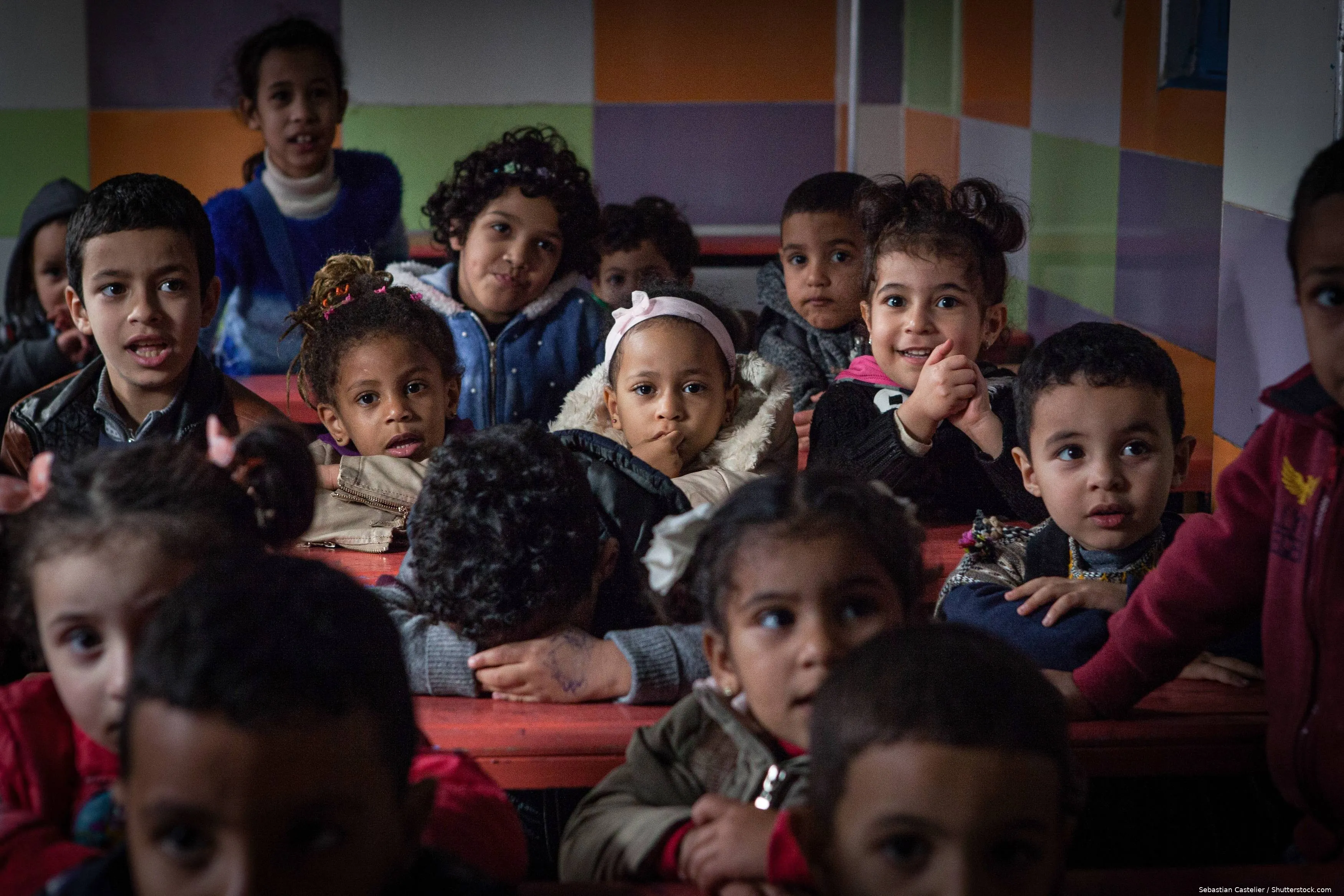 shutterstock_2588395551