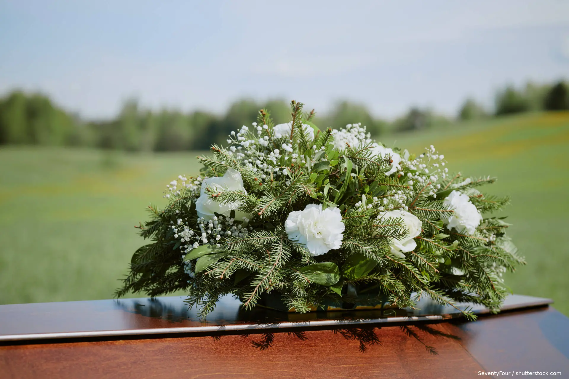 shutterstock_2665284527