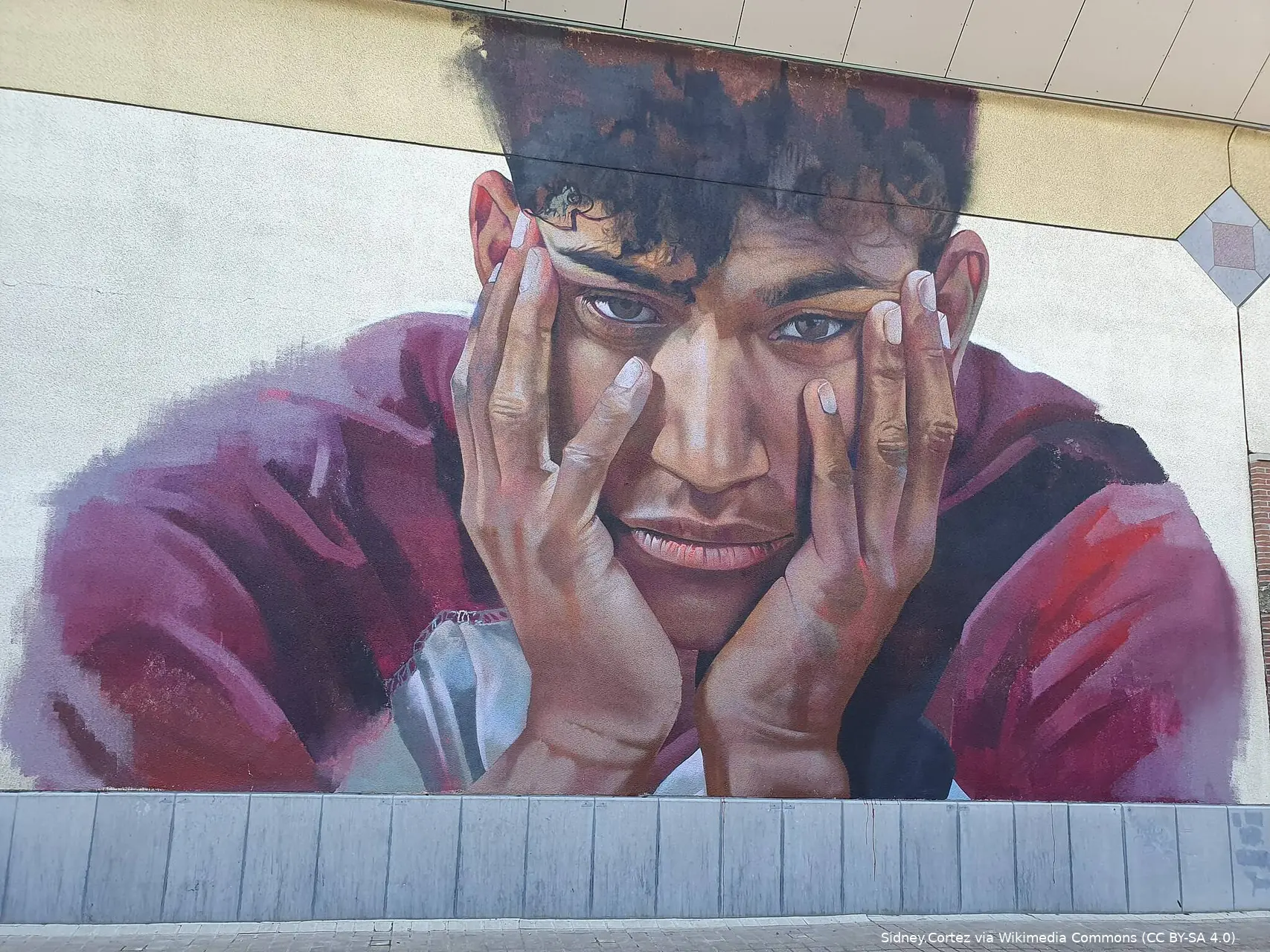 2048px muurschildering sanda dia leuven 2023