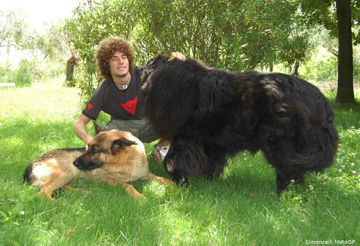 sic cane 1