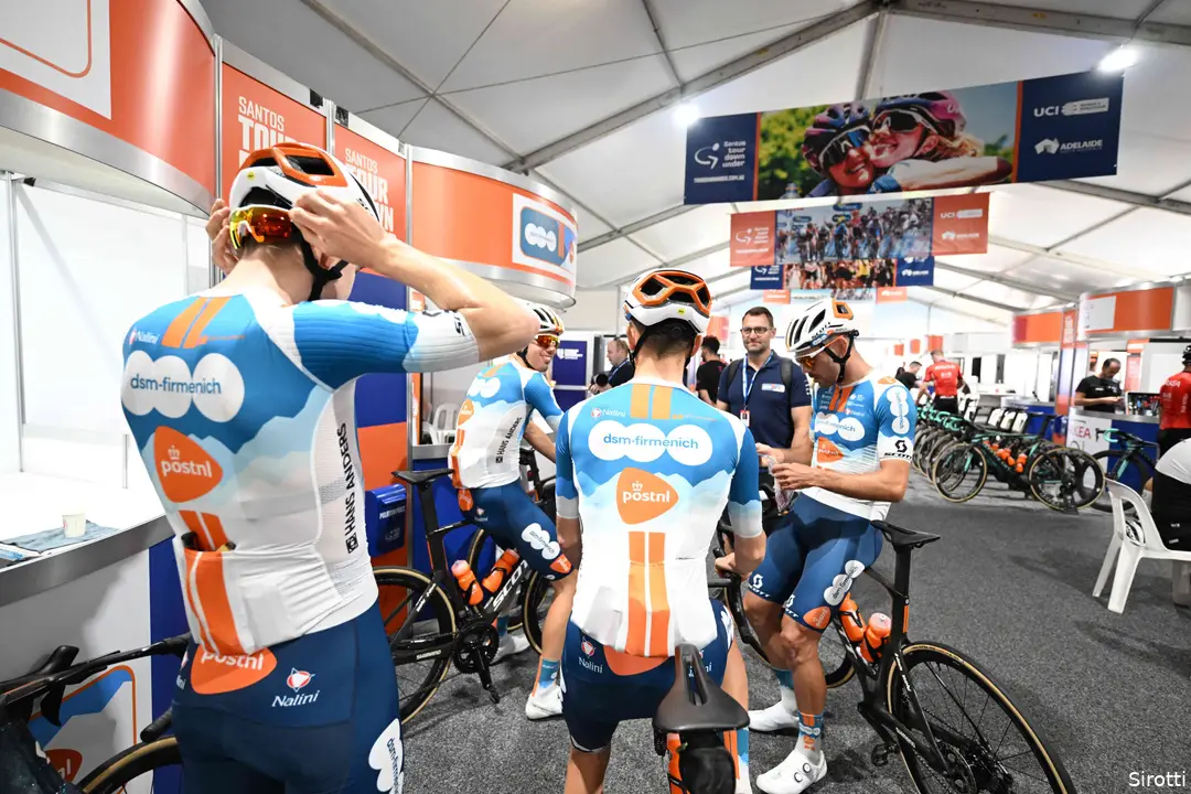 dsm firmenich postnl 2024