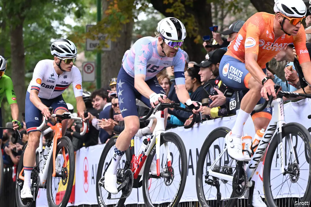 van-der-poel-simmons-onley