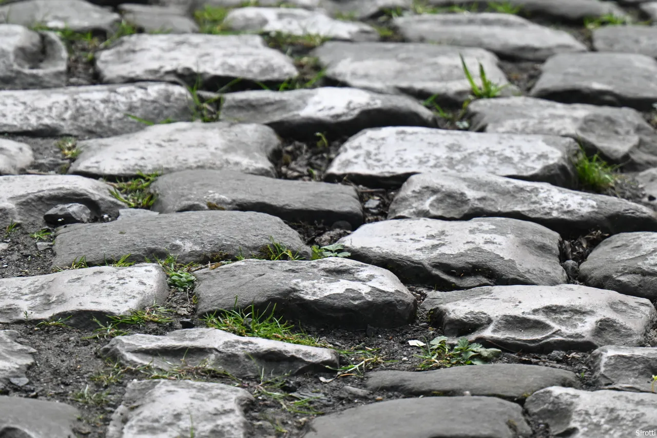 The dreaded cobblestones of the Forest of Wallers