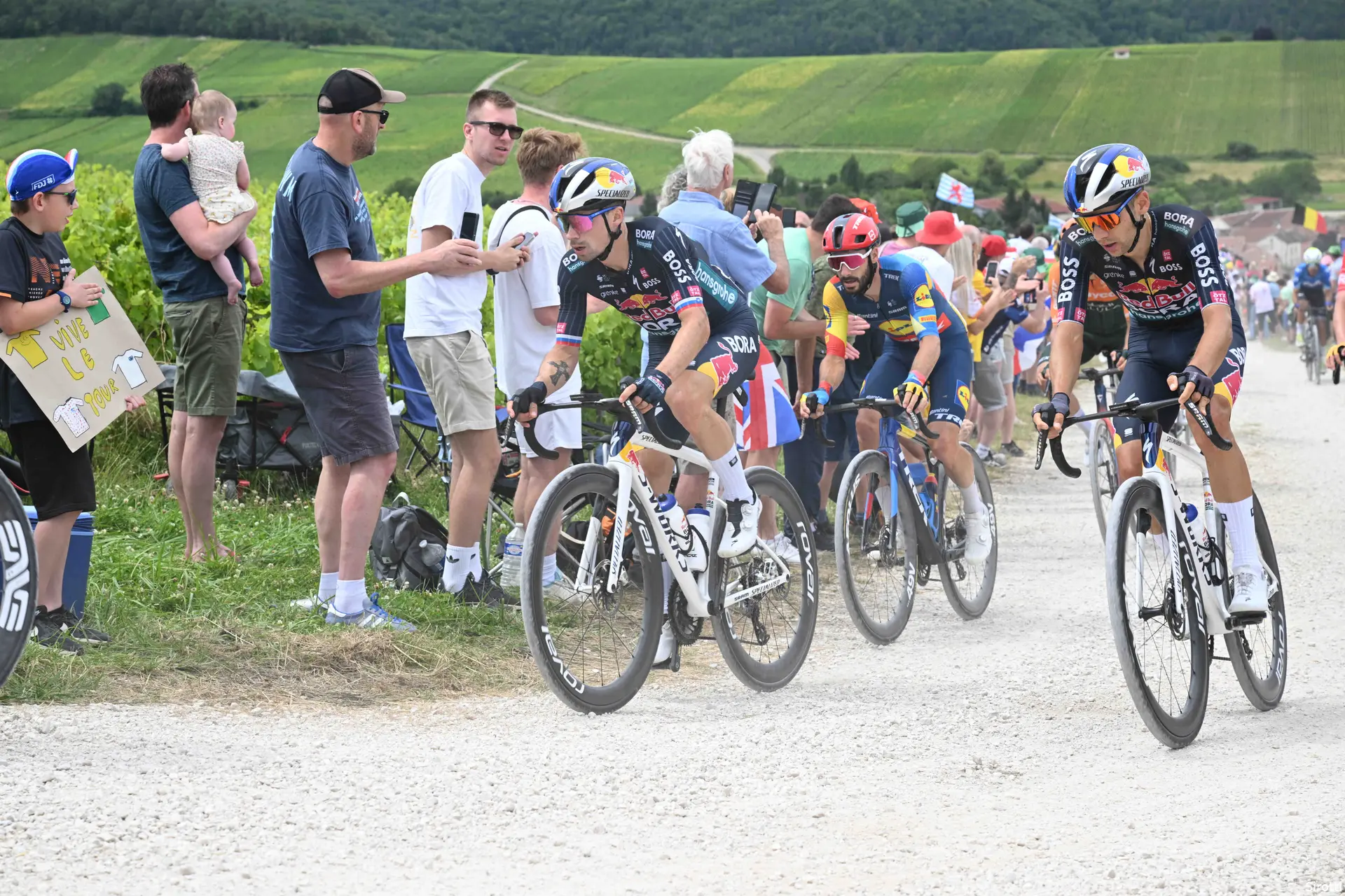 primoz roglic