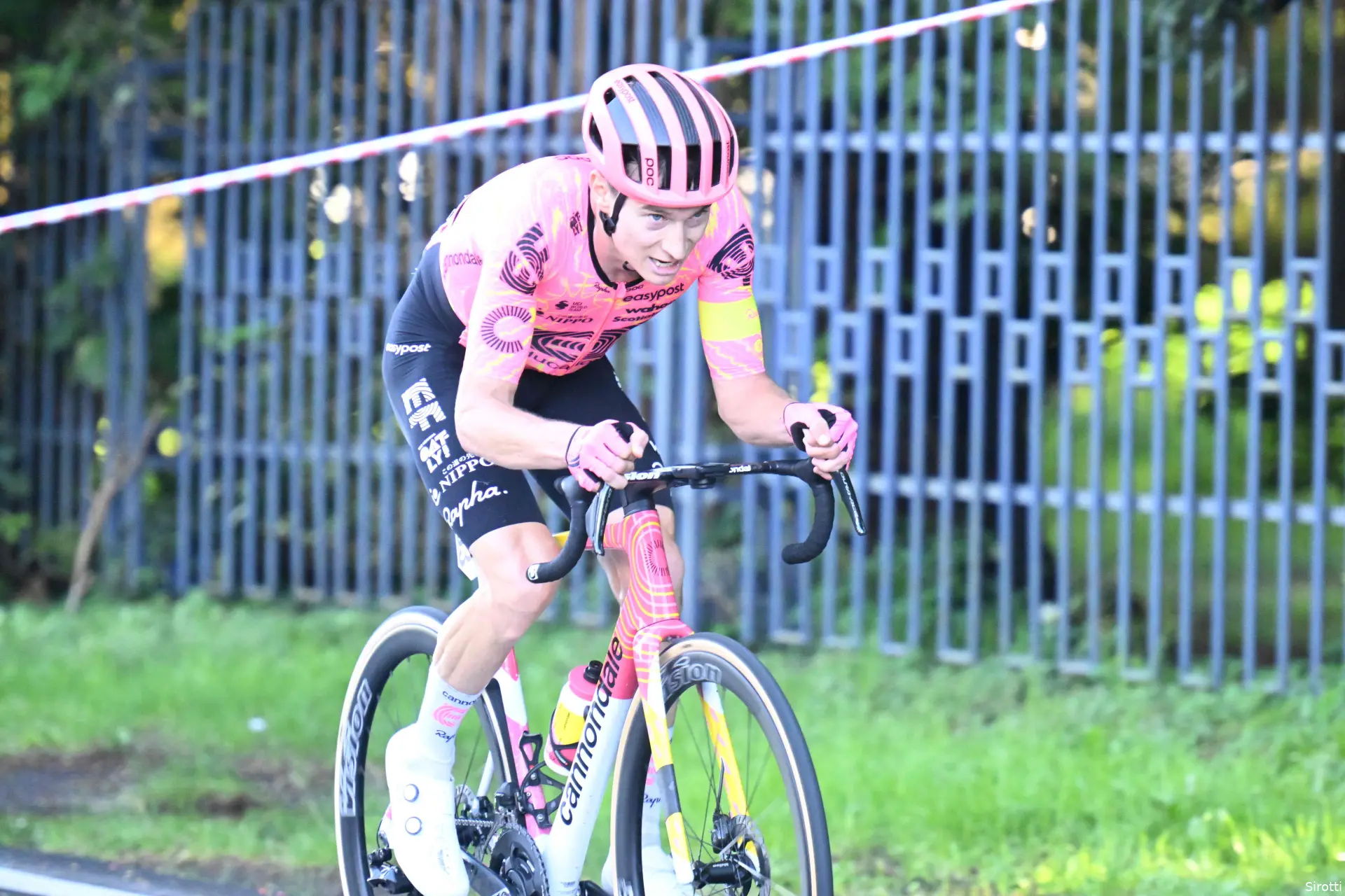 neilson powless