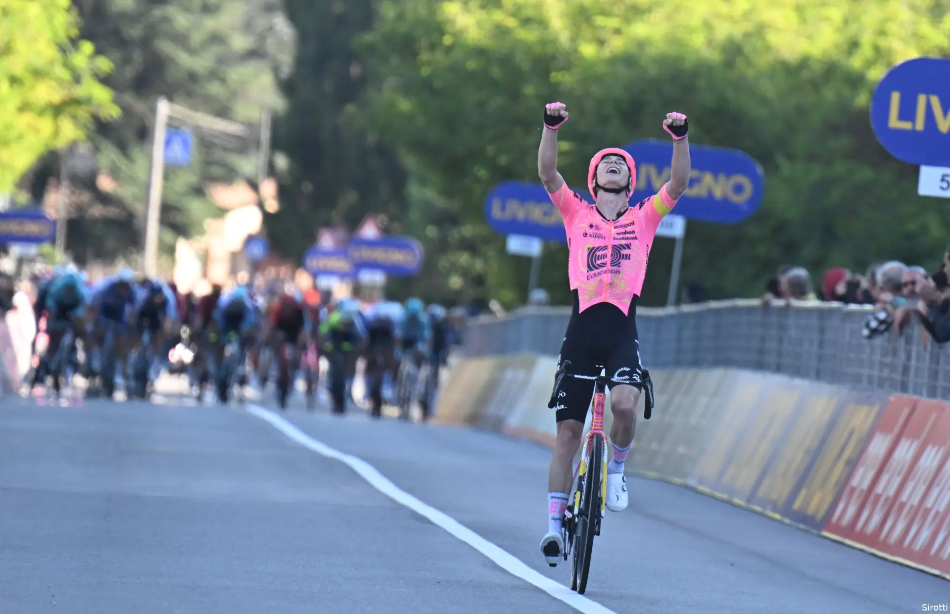 neilson-powless