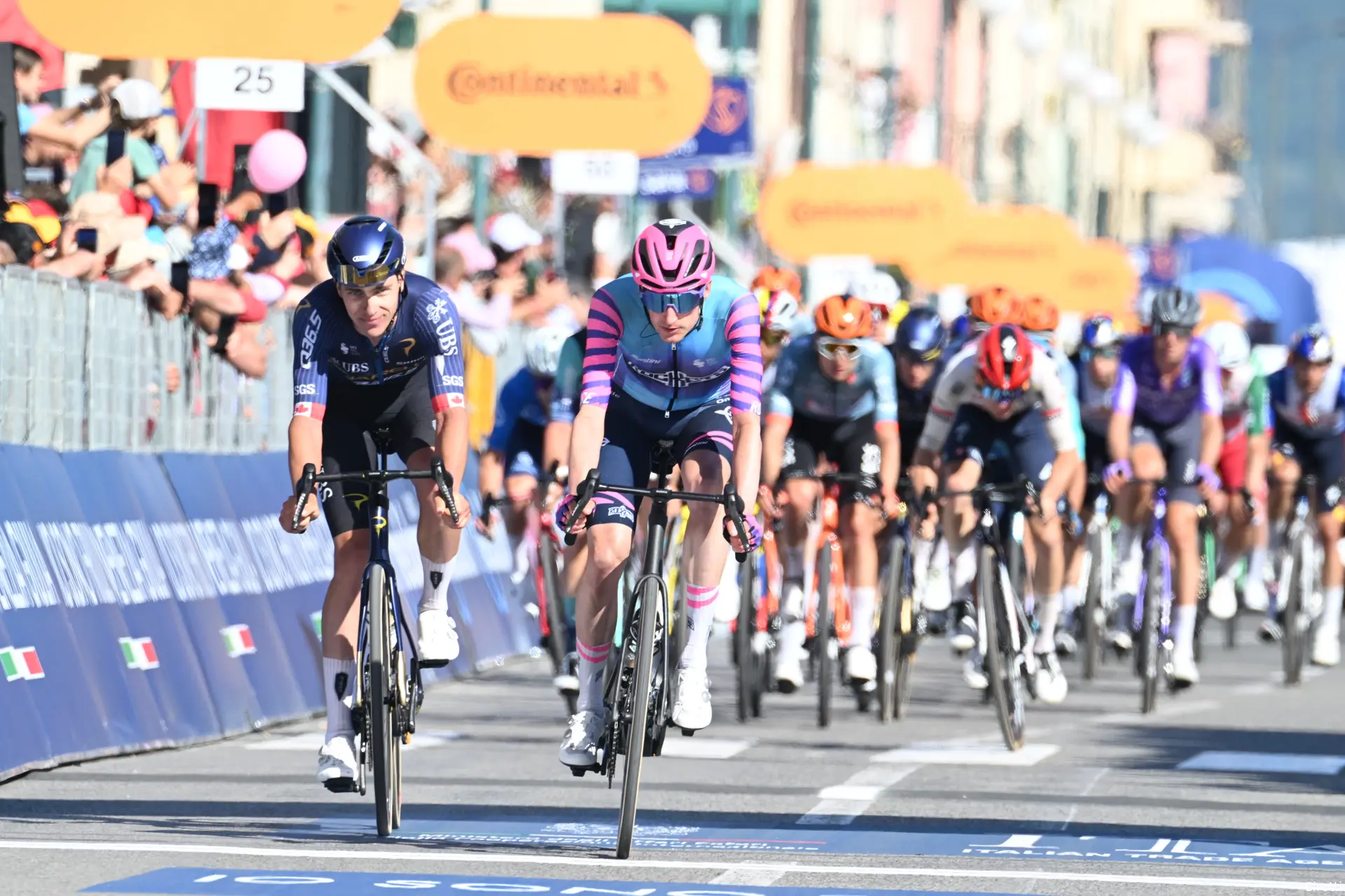 wout-poels