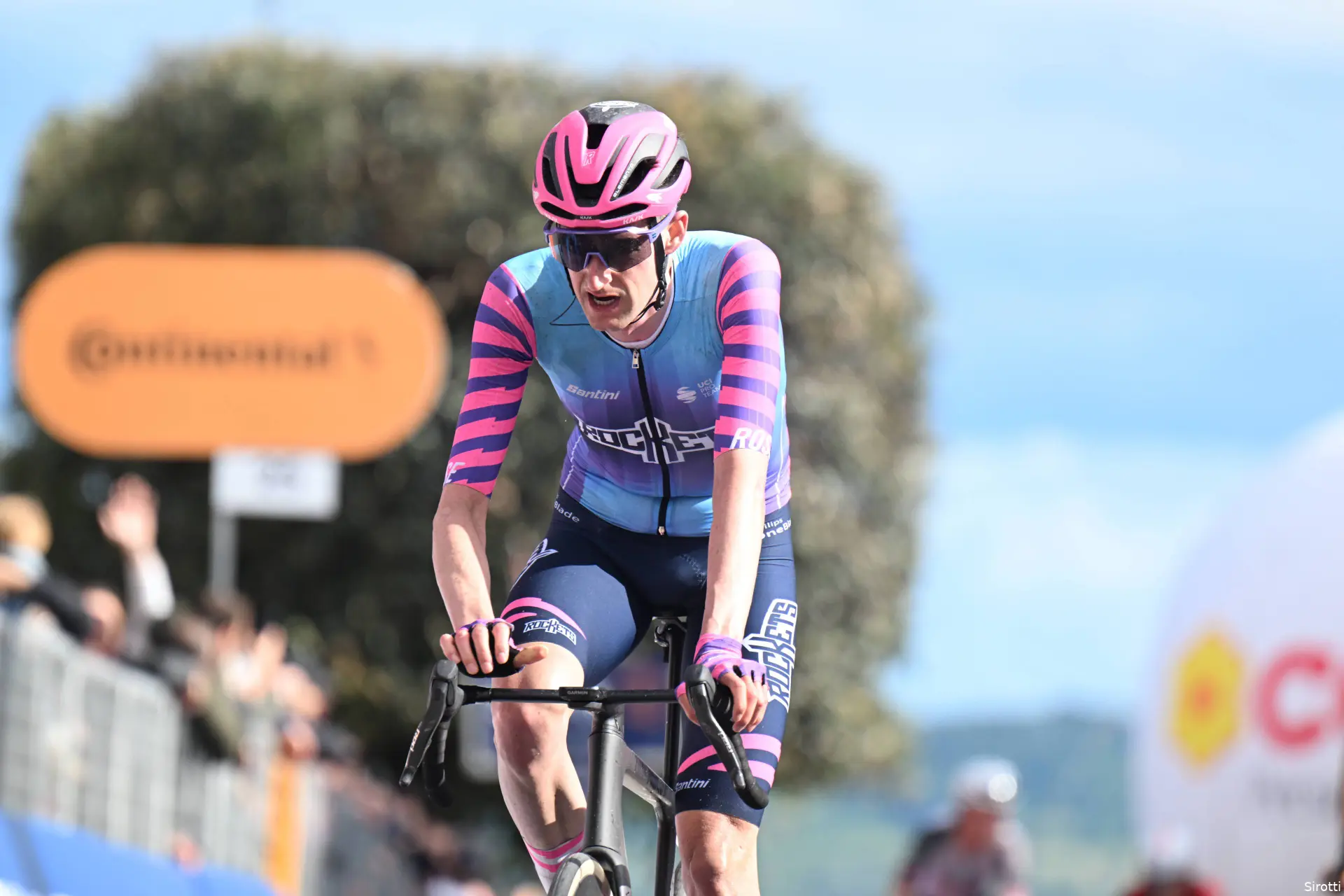 wout-poels