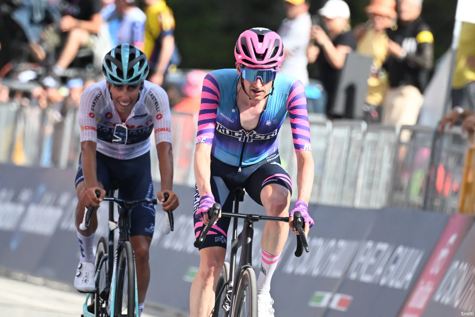 wout-poels