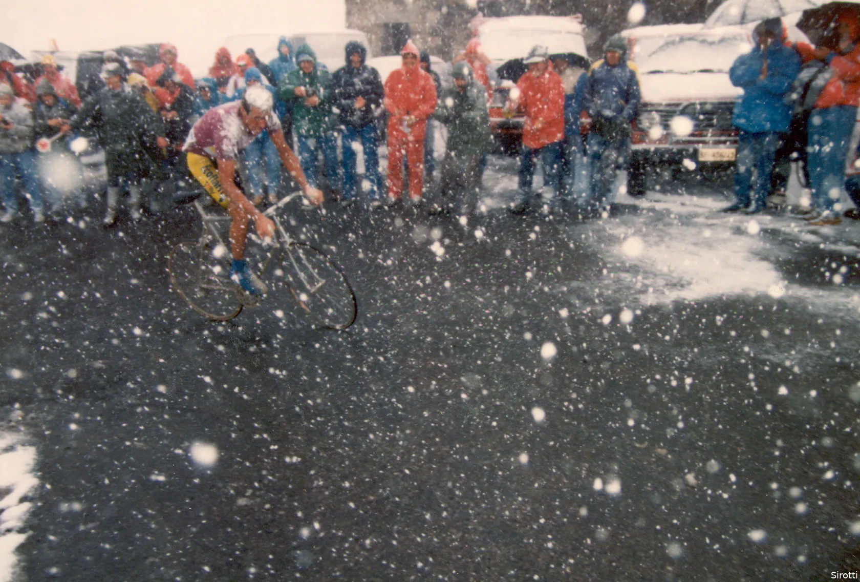 Sirotti gavia 1988