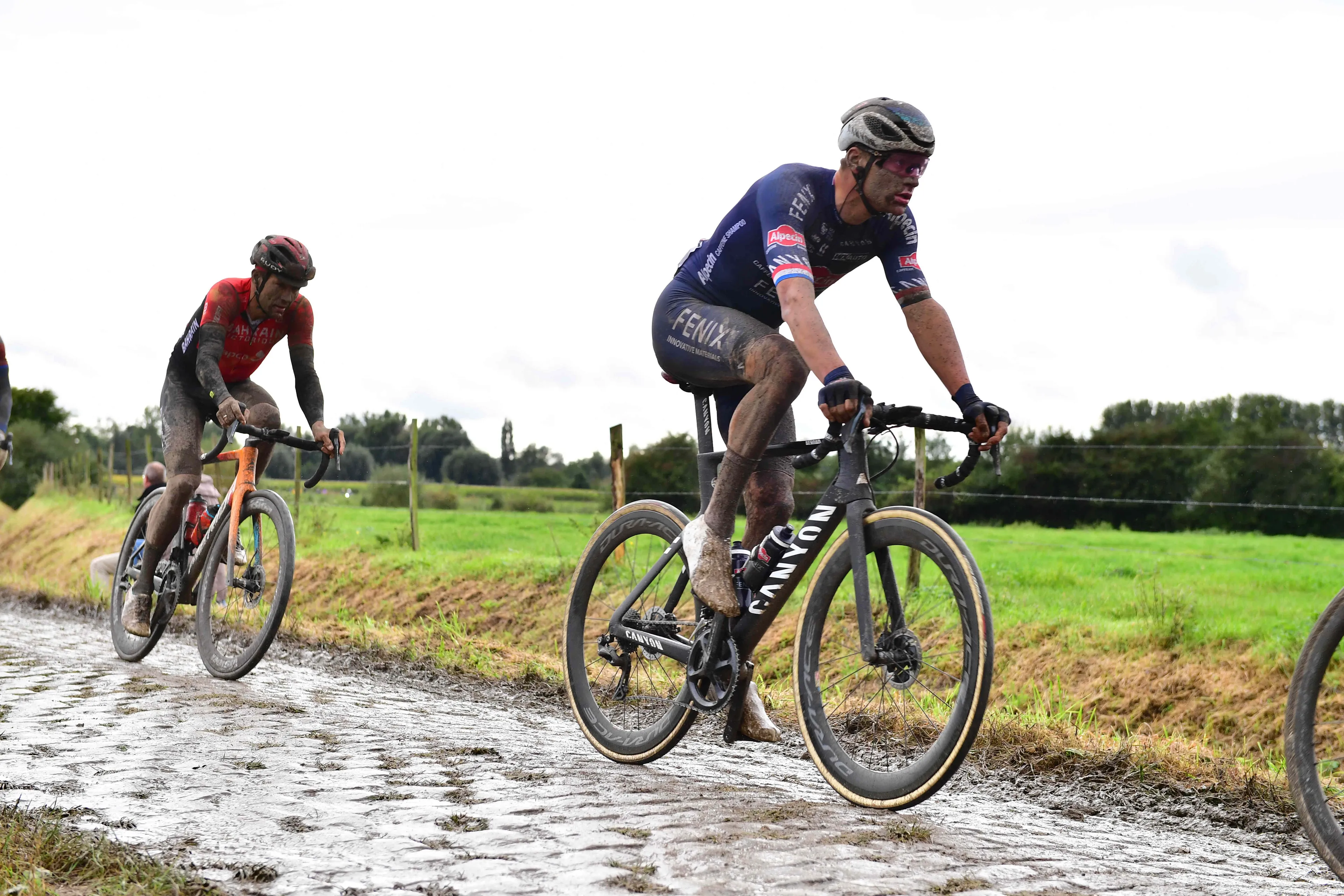mathieu van der poel