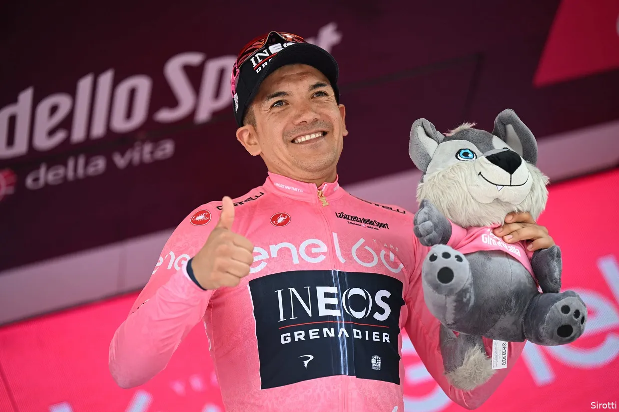 Carapaz Sirotti roze