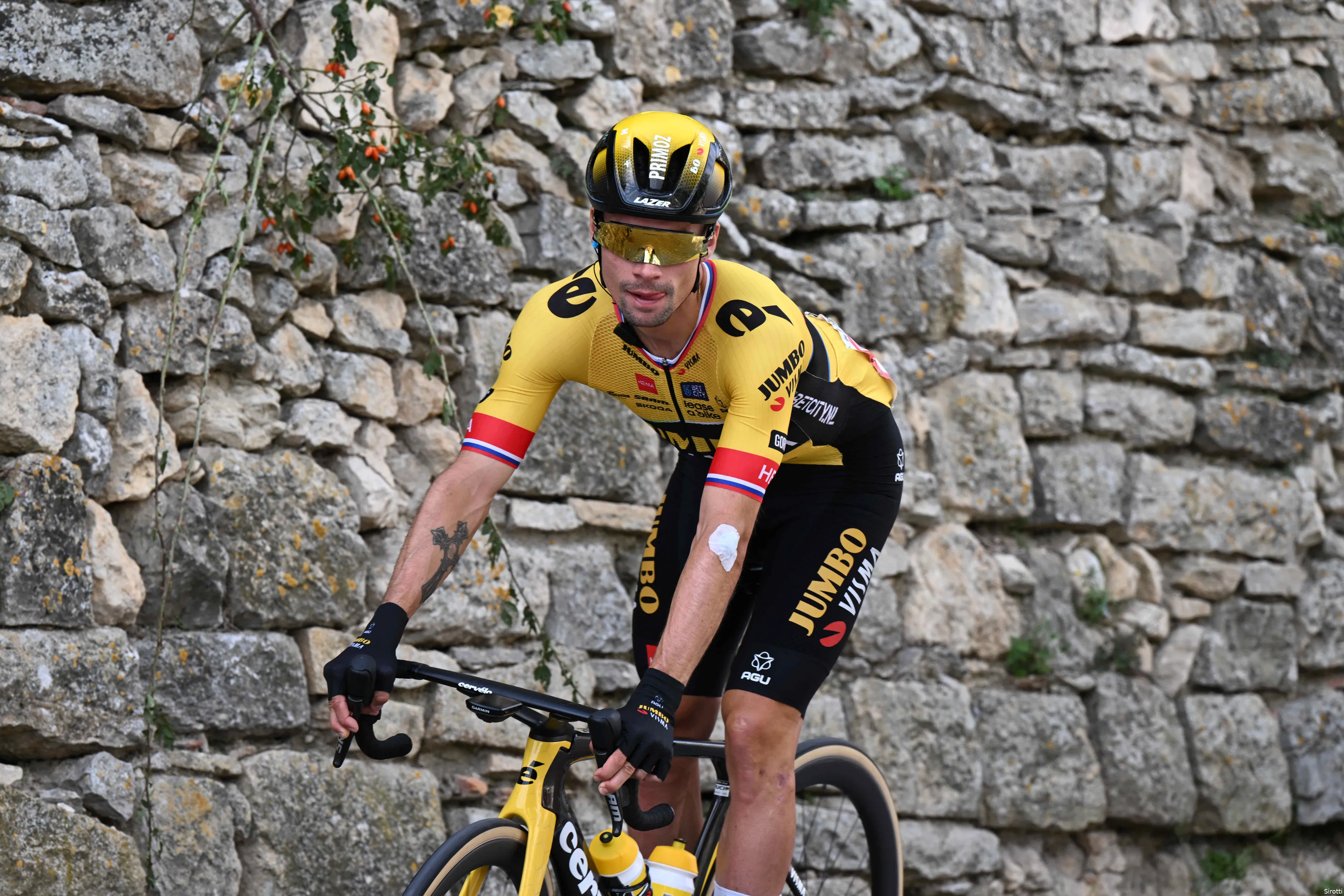 primoz roglic