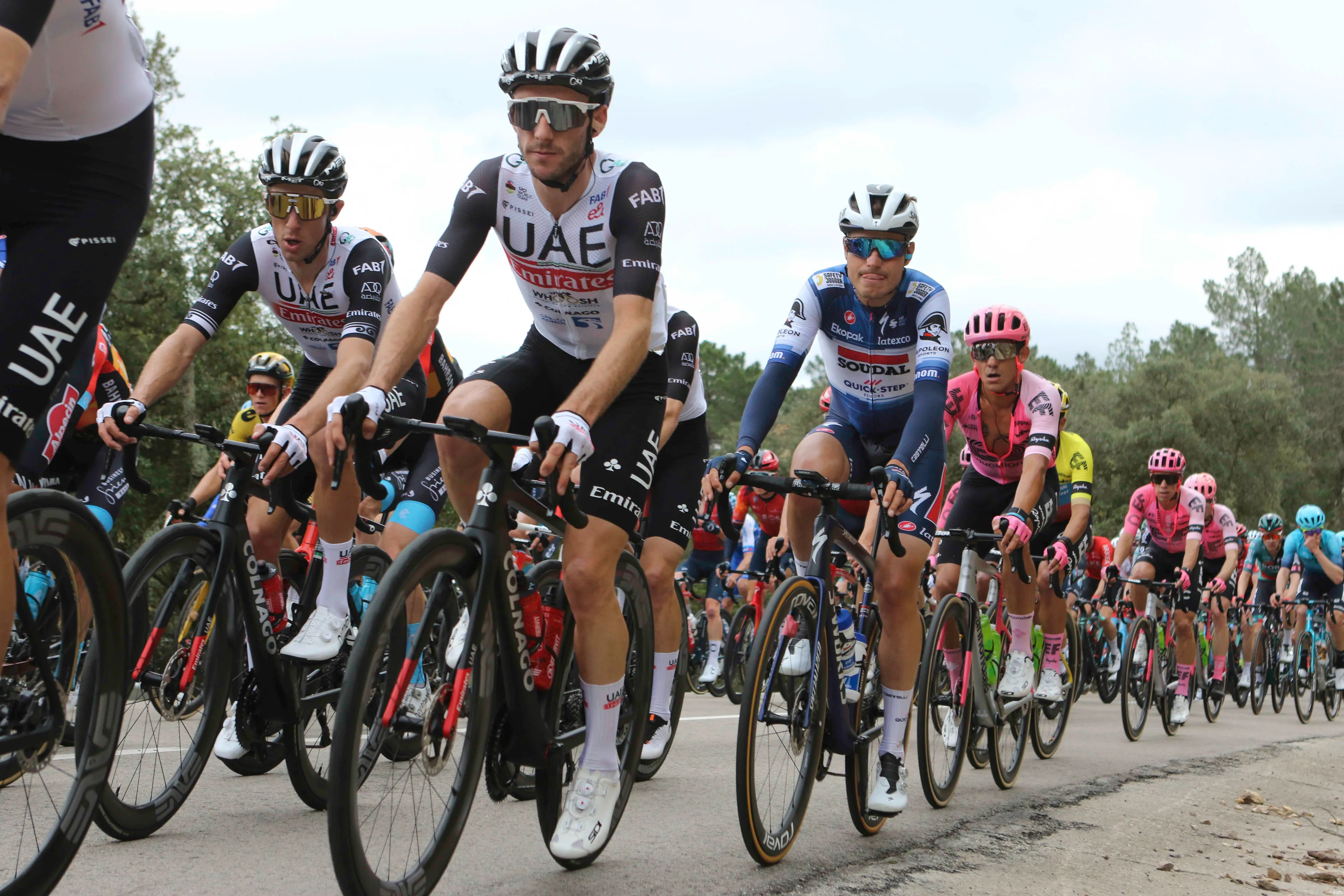 adam yates