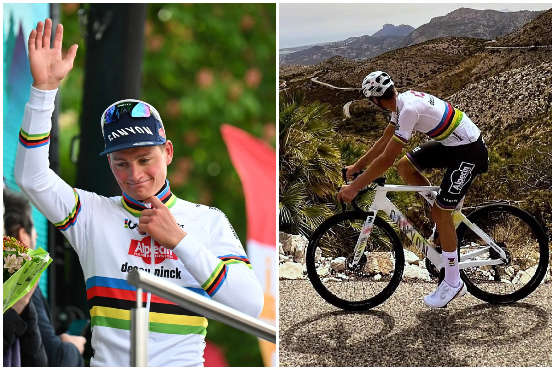 mathieu van der poel