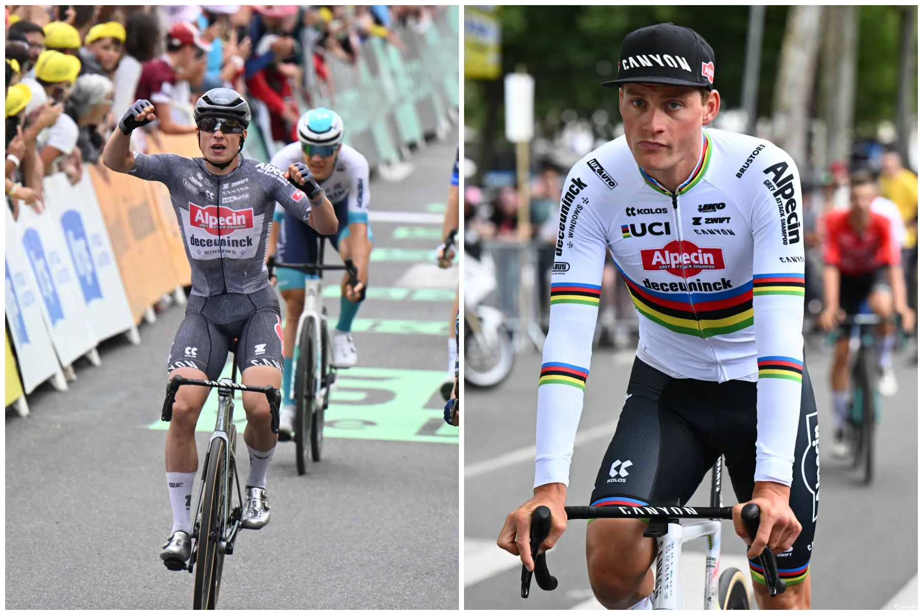 philipsen van der poel