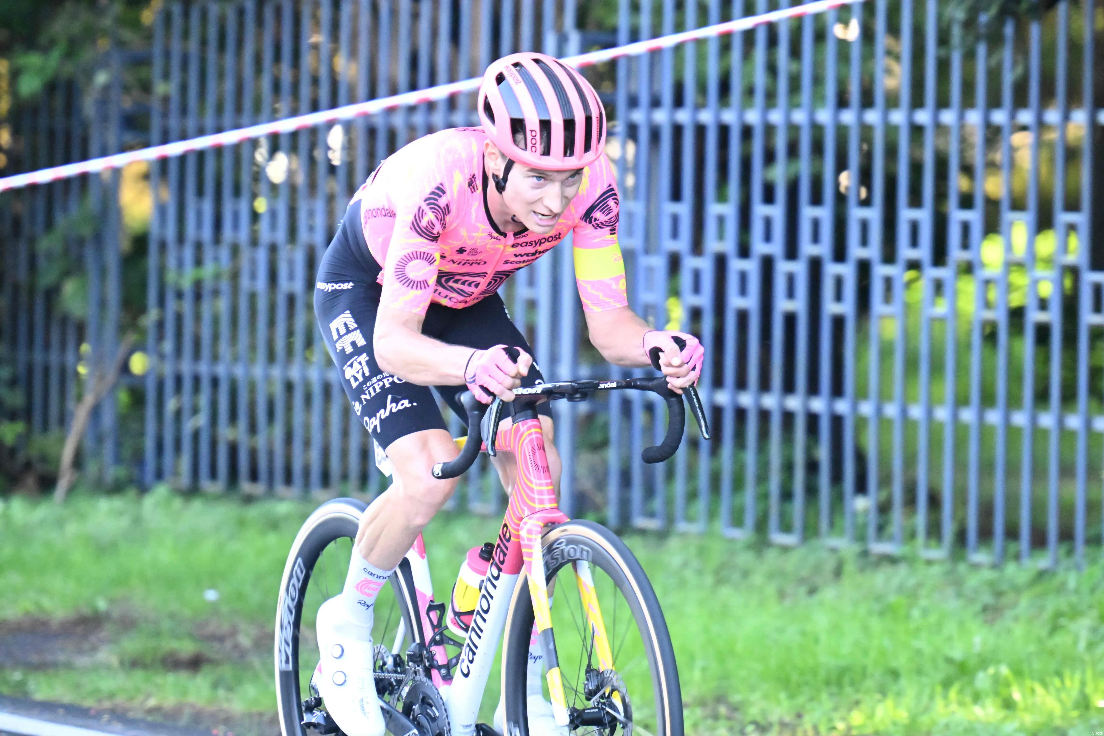 neilson powless