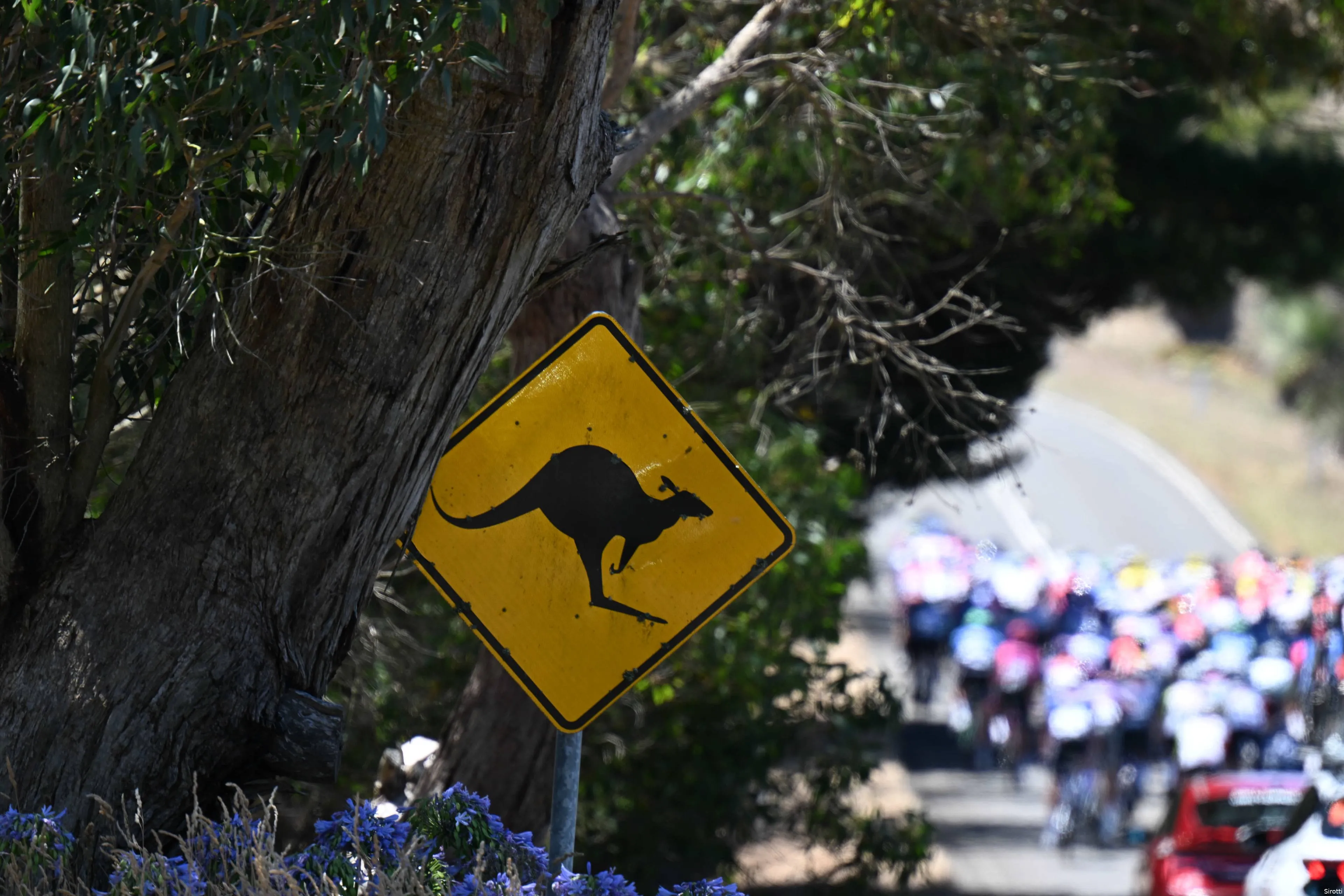 tour down under