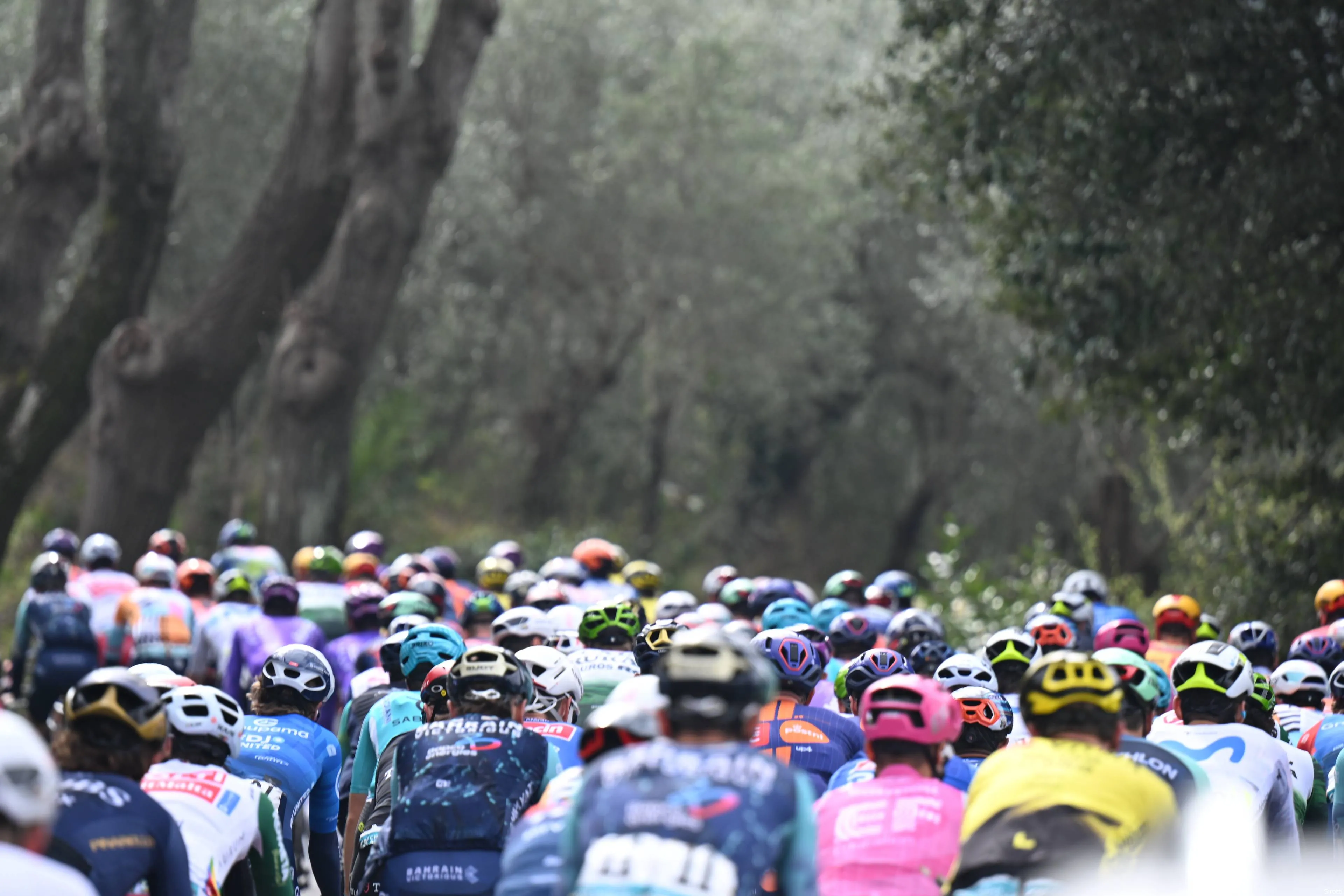 peloton-worldtour-2026