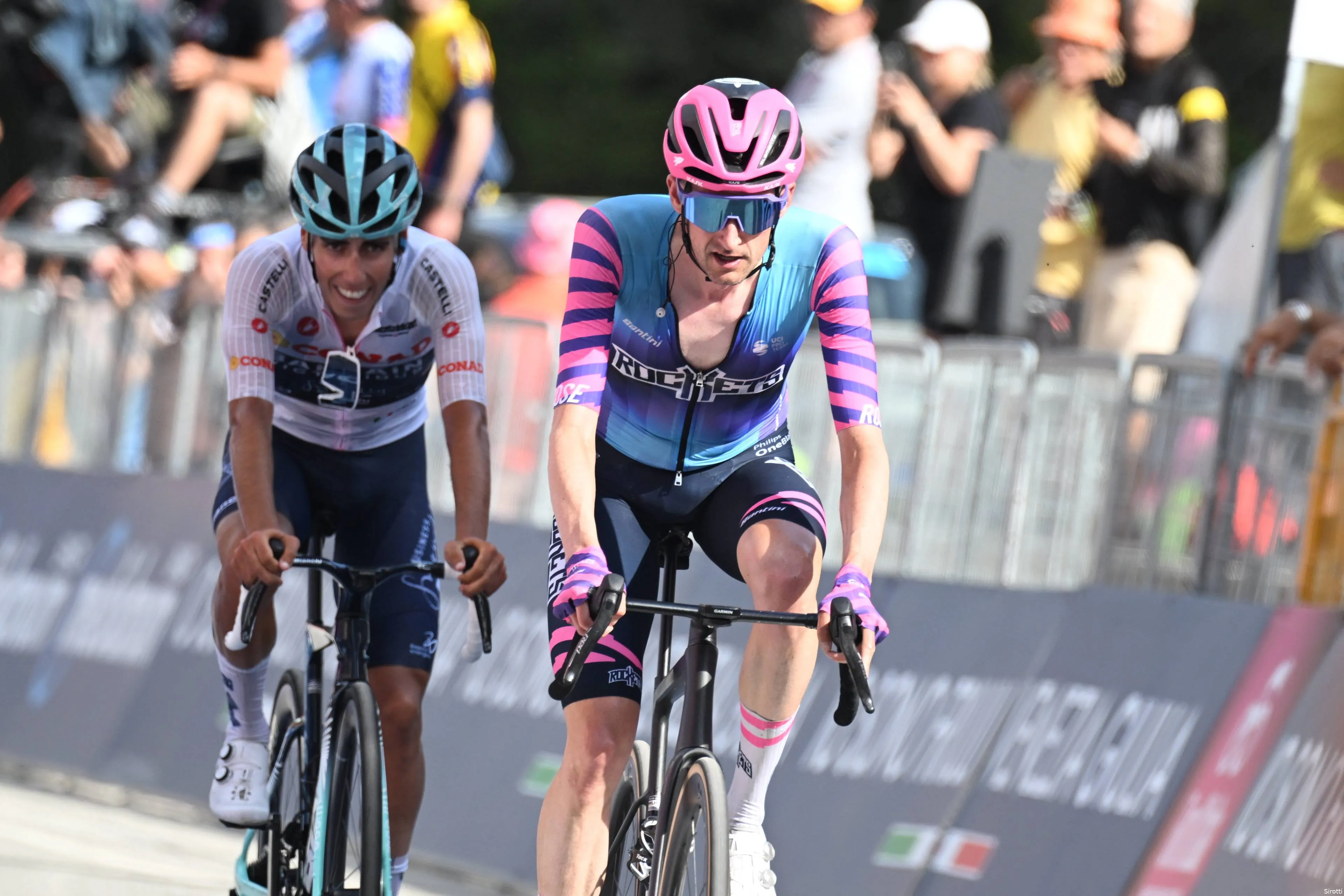 wout-poels
