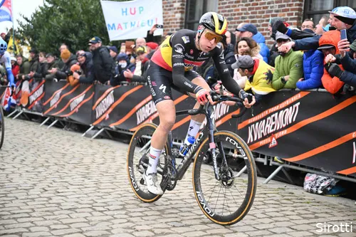 tim merlier 642a74dc9b61e