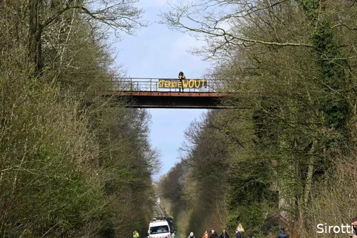 Sterkte Wout (in het bos van Wallers)