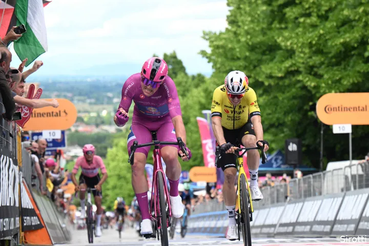mads pedersen wout van aert