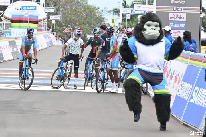 gorilla-rwanda