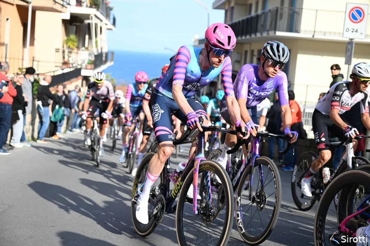 wout-poels
